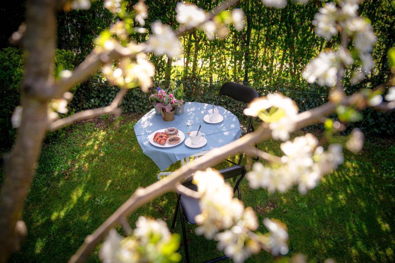 My Sweet Garden - By Myhomeincomo Cassina Rizzardi Eksteriør bilde